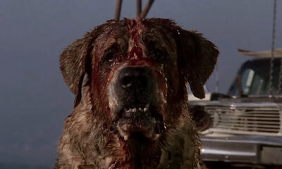 Cujo Netflix