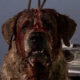 Cujo Netflix