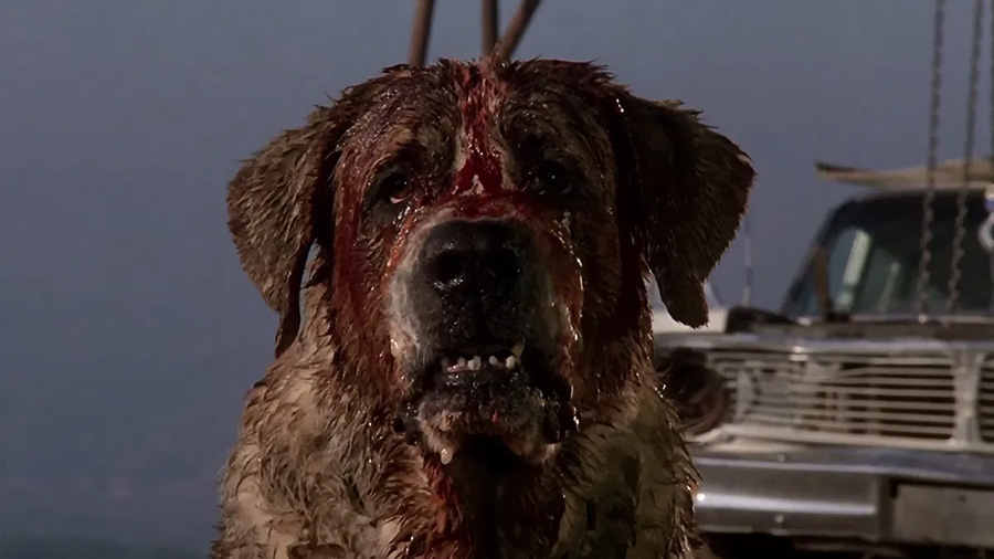 Cujo Netflix