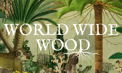 Explora el mundo de los árboles con la iniciativa World Wide Wood