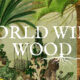 Explora el mundo de los árboles con la iniciativa World Wide Wood