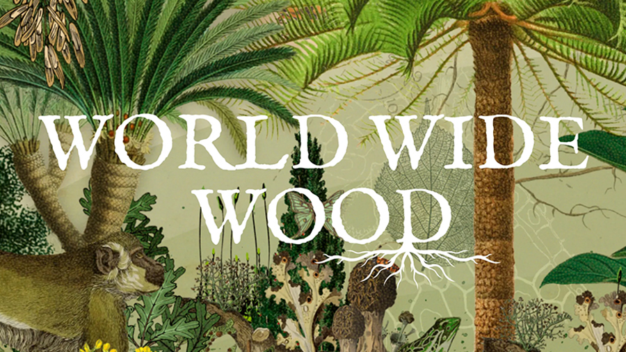 Explora el mundo de los árboles con la iniciativa World Wide Wood