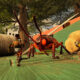 Obsidian mantendrá al primer Grounded disponible pese al estreno de Grounded 2