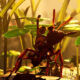 Grounded 2 ya se puede jugar en Xbox Series X|S y PC como Game Preview