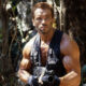 Arnold Schwarzenegger está abierto a regresar a la franquicia Predator